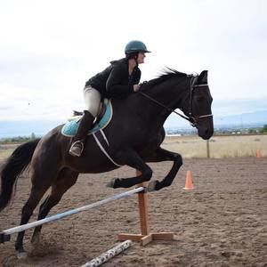 Meet your Posher, Holly